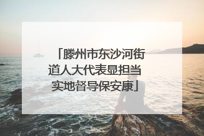 滕州市东沙河街道人大代表显担当实地督导保安康