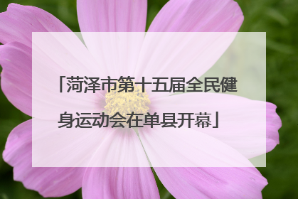 菏泽市第十五届全民健身运动会在单县开幕