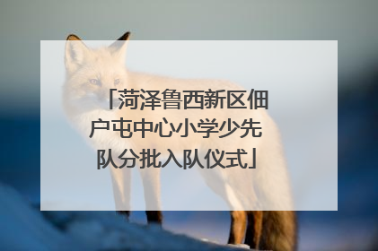菏泽鲁西新区佃户屯中心小学少先队分批入队仪式