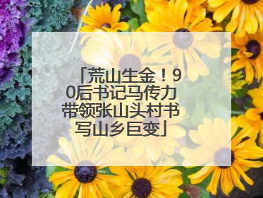 荒山生金！90后书记马传力带领张山头村书写山乡巨变