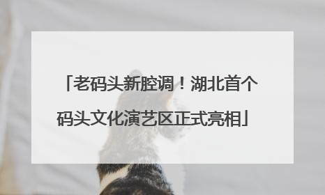 老码头新腔调！湖北首个码头文化演艺区正式亮相