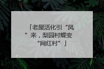老屋活化引“凤”来，梨园村蝶变“网红村”