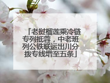 老挝榴莲乘冷链专列抵蓉，中老班列公铁联运出川分拨专线增至五条