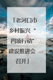 老河口市乡村振兴“四项行动”建设推进会召开