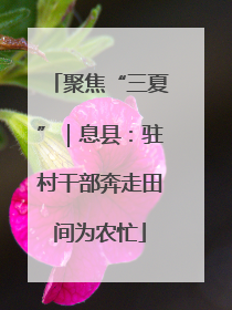 聚焦“三夏”｜息县：驻村干部奔走田间为农忙
