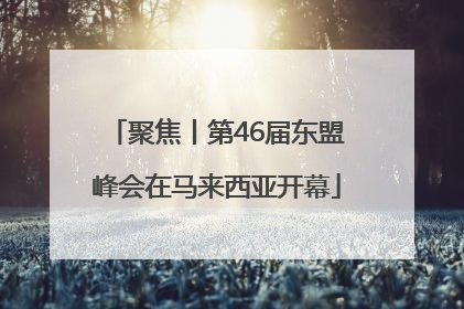 聚焦丨第46届东盟峰会在马来西亚开幕