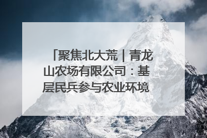 聚焦北大荒｜青龙山农场有限公司：基层民兵参与农业环境综合治理显效