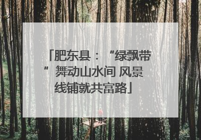 肥东县：“绿飘带”舞动山水间 风景线铺就共富路