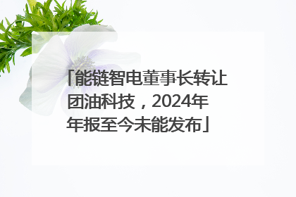 能链智电董事长转让团油科技，2024年年报至今未能发布