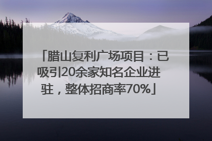 腊山复利广场项目：已吸引20余家知名企业进驻，整体招商率70%