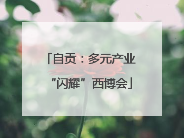 自贡：多元产业“闪耀”西博会