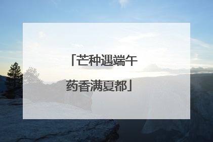 芒种遇端午 药香满夏都