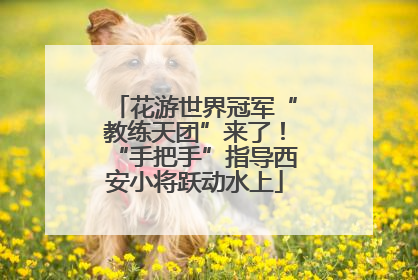花游世界冠军“教练天团”来了！“手把手”指导西安小将跃动水上
