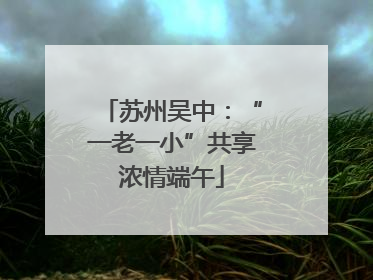 苏州吴中：“一老一小”共享浓情端午