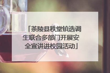 茶陵县秩堂镇选调生联合多部门开展安全宣讲进校园活动