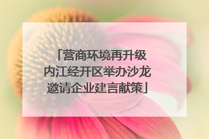 营商环境再升级 内江经开区举办沙龙邀请企业建言献策