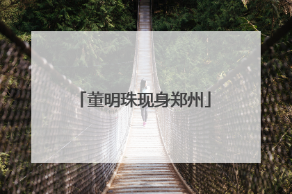 董明珠现身郑州