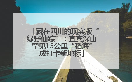藏在四川的现实版“绿野仙踪”：宜宾深山罕见15公里“稻海”成打卡新地标