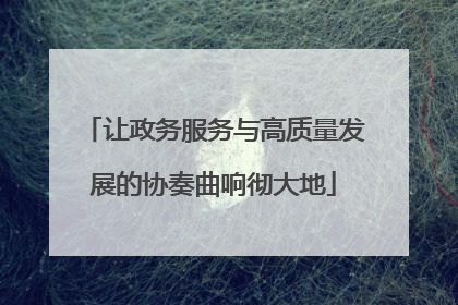 让政务服务与高质量发展的协奏曲响彻大地