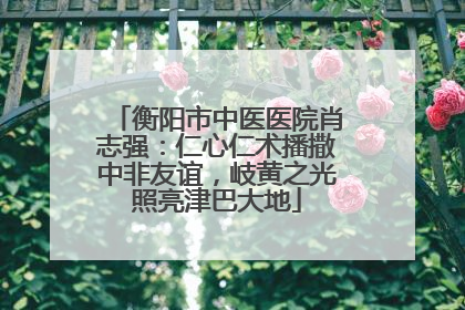 衡阳市中医医院肖志强：仁心仁术播撒中非友谊，岐黄之光照亮津巴大地