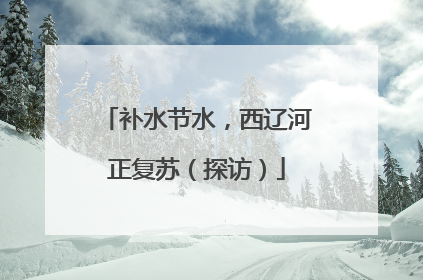 补水节水，西辽河正复苏（探访）
