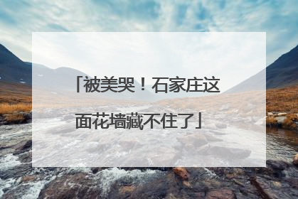被美哭！石家庄这面花墙藏不住了
