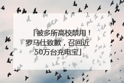 被多所高校禁用！罗马仕致歉，召回近50万台充电宝