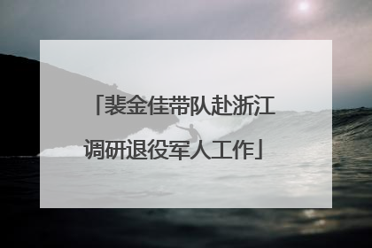 裴金佳带队赴浙江调研退役军人工作