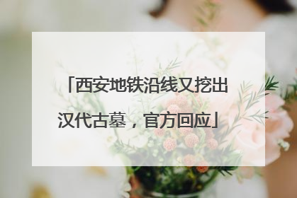 西安地铁沿线又挖出汉代古墓，官方回应