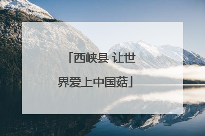 西峡县 让世界爱上中国菇