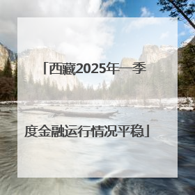 西藏2025年一季度金融运行情况平稳