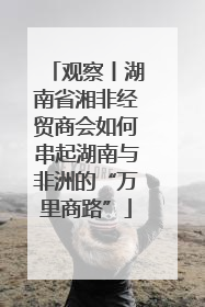 观察丨湖南省湘非经贸商会如何串起湖南与非洲的“万里商路”