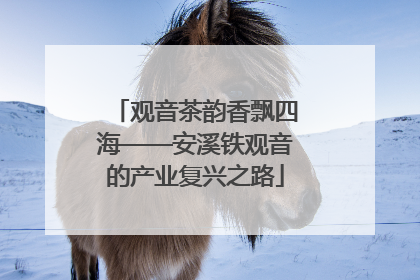 观音茶韵香飘四海——安溪铁观音的产业复兴之路