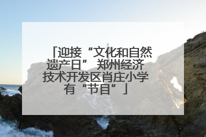 迎接“文化和自然遗产日” 郑州经济技术开发区肖庄小学有“节目”