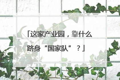 这家产业园，靠什么跻身“国家队”？