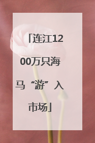 连江1200万只海马“游”入市场