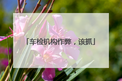 车检机构作弊，该抓