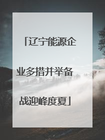 辽宁能源企业多措并举备战迎峰度夏