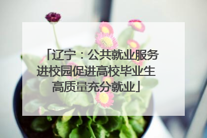 辽宁：公共就业服务进校园促进高校毕业生高质量充分就业