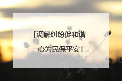 调解纠纷促和谐 一心为民保平安