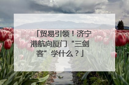 贸易引领！济宁港航向厦门“三剑客”学什么？