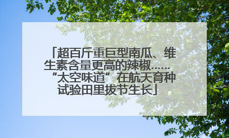 超百斤重巨型南瓜、维生素含量更高的辣椒……“太空味道”在航天育种试验田里拔节生长