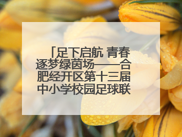 足下启航 青春逐梦绿茵场——合肥经开区第十三届中小学校园足球联赛圆满收官