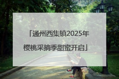 通州西集镇2025年樱桃采摘季甜蜜开启