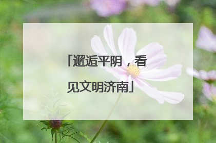 邂逅平阴，看见文明济南