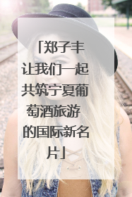 郑子丰 让我们一起共筑宁夏葡萄酒旅游 的国际新名片