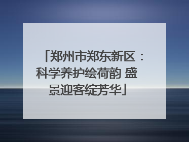 郑州市郑东新区：科学养护绘荷韵 盛景迎客绽芳华