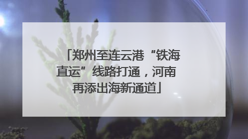 郑州至连云港“铁海直运”线路打通，河南再添出海新通道