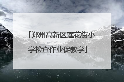 郑州高新区莲花街小学检查作业促教学