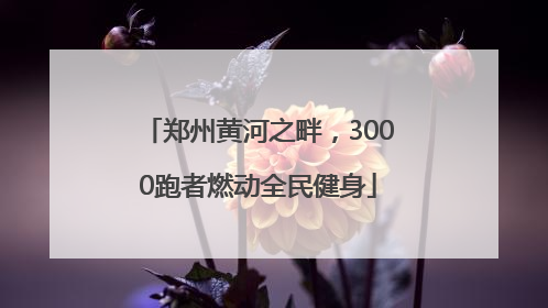 郑州黄河之畔，3000跑者燃动全民健身